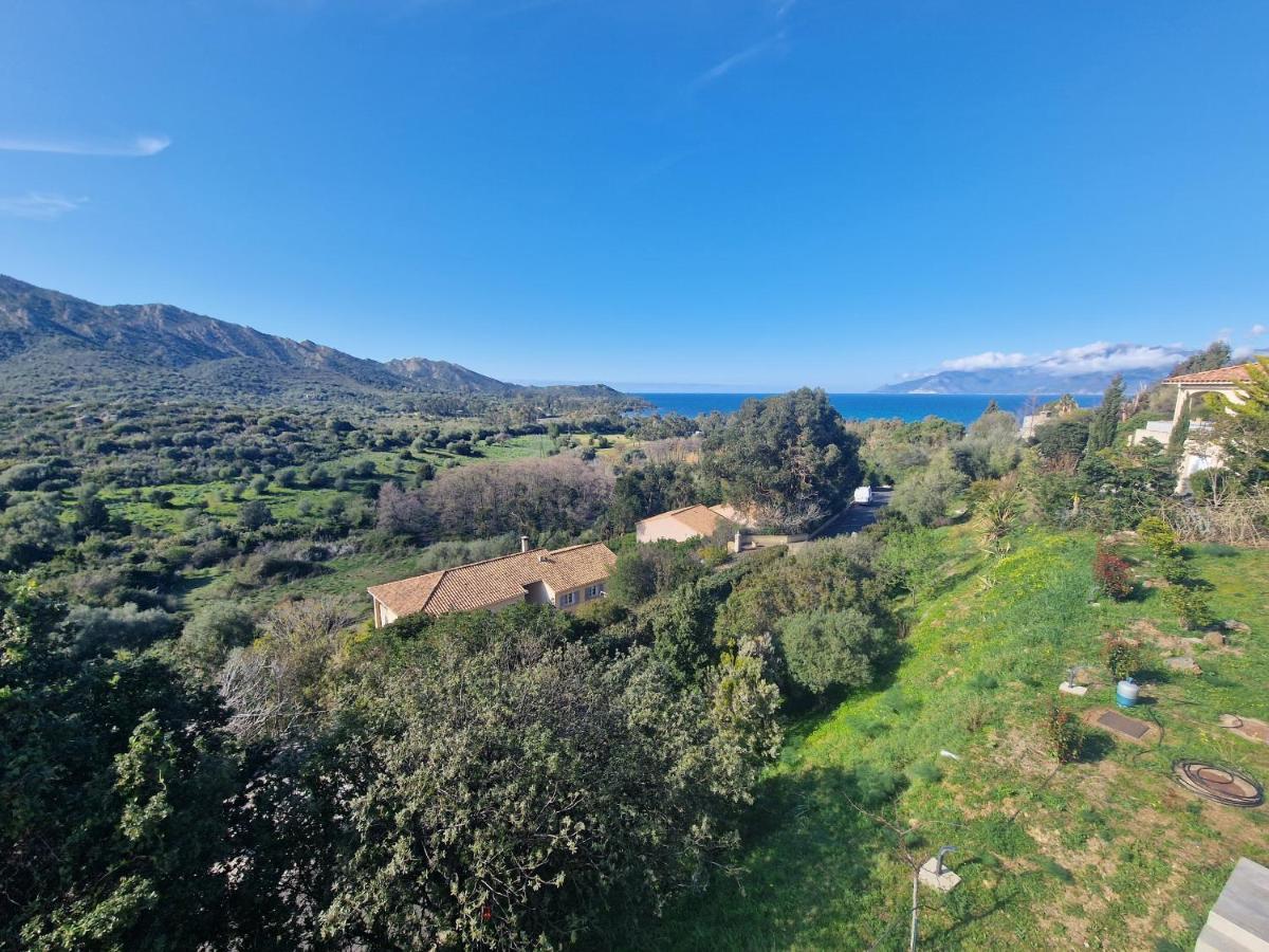 Appartement Vue Mer Fromontica Saint-Florent  Exterior foto